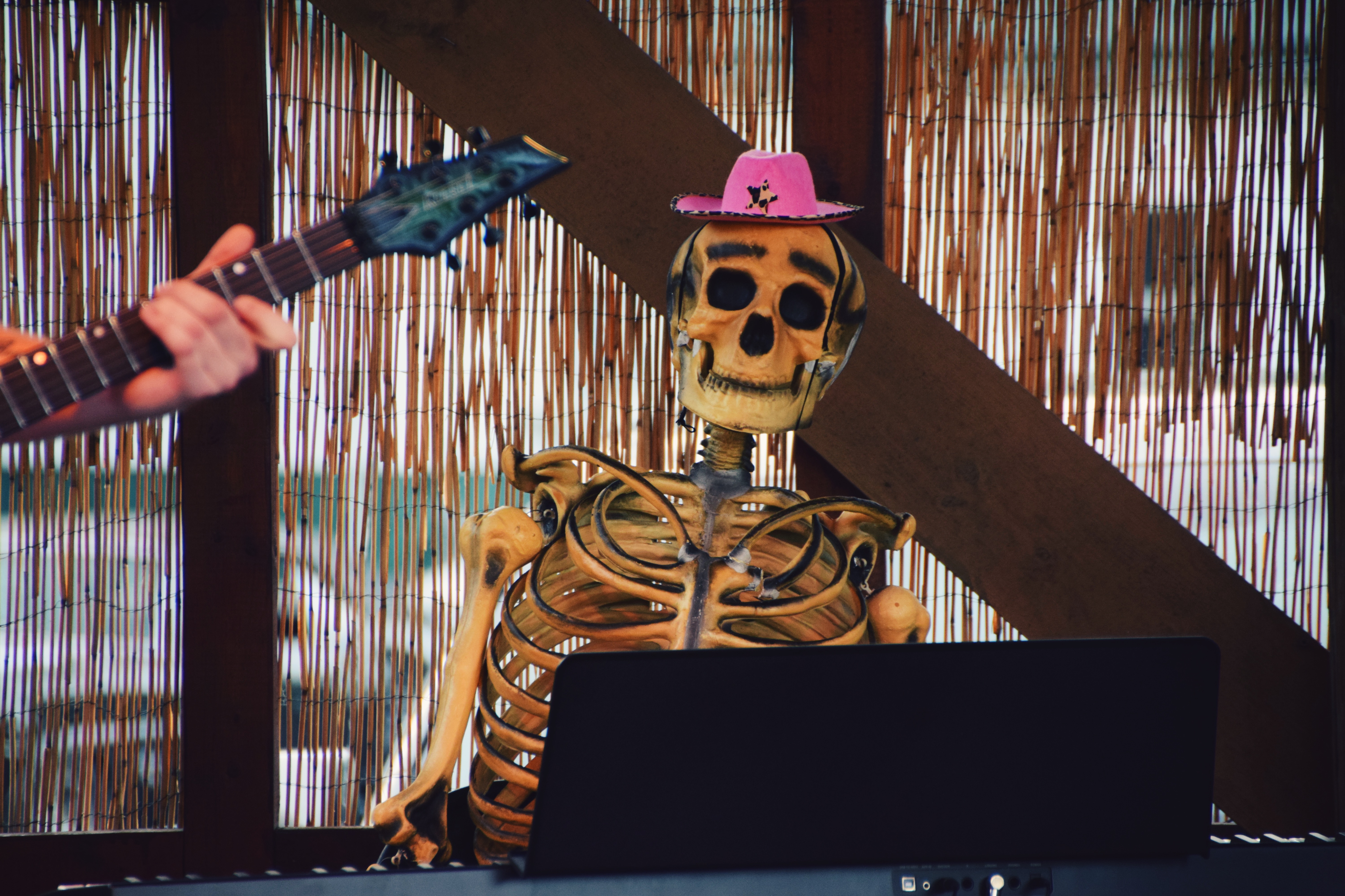 Skully the skeleton on stage with TTKH